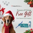 Ho-Ho-Holiday Savings! 25% Off + Free Gifts at BudgetPetCare