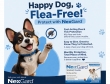 Nexgard Chewable for Dogs - get 20% OFF + Free Shipping